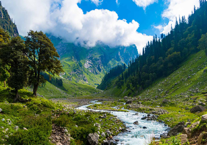 Manali Trip